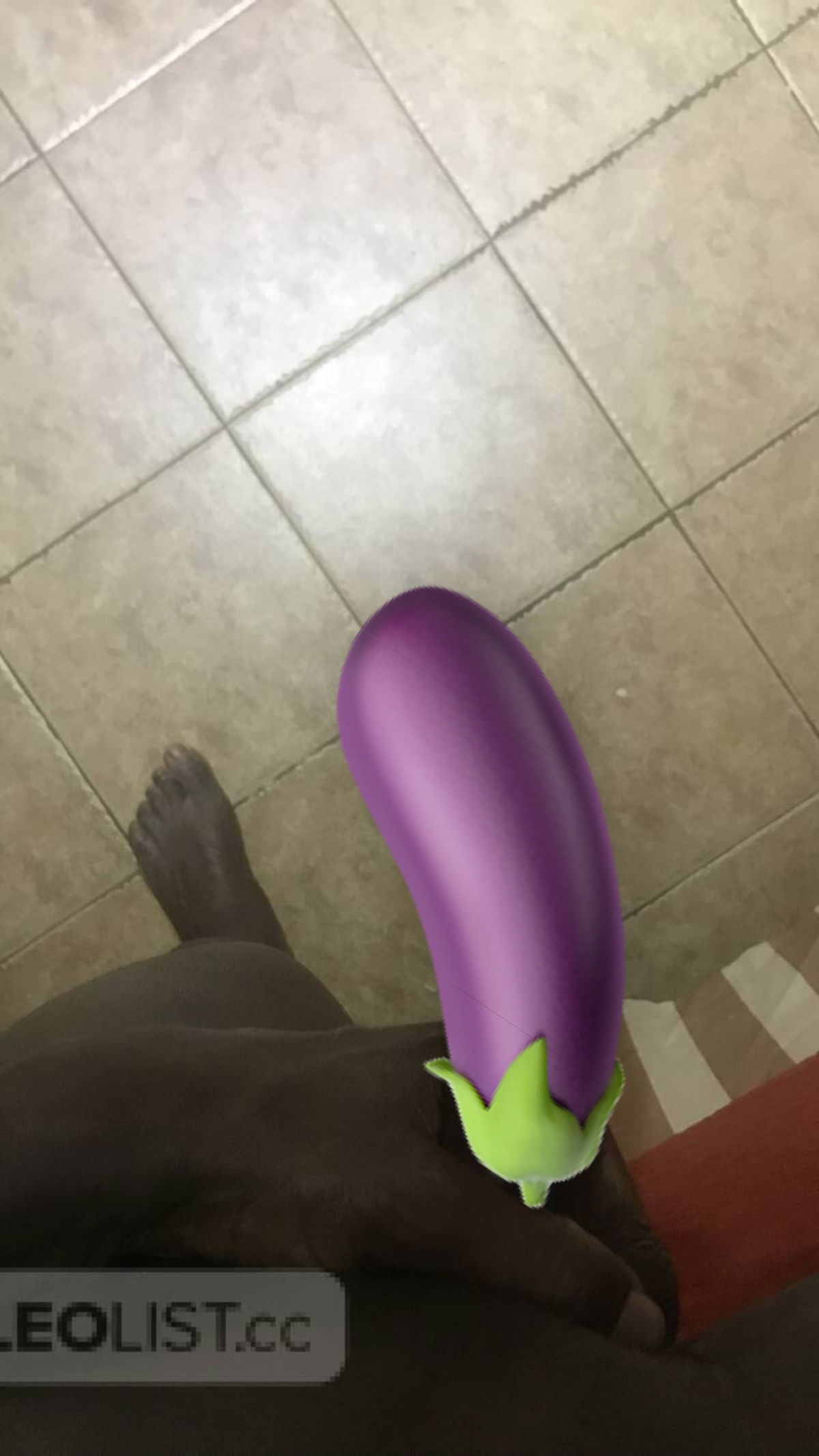 BigKarloss