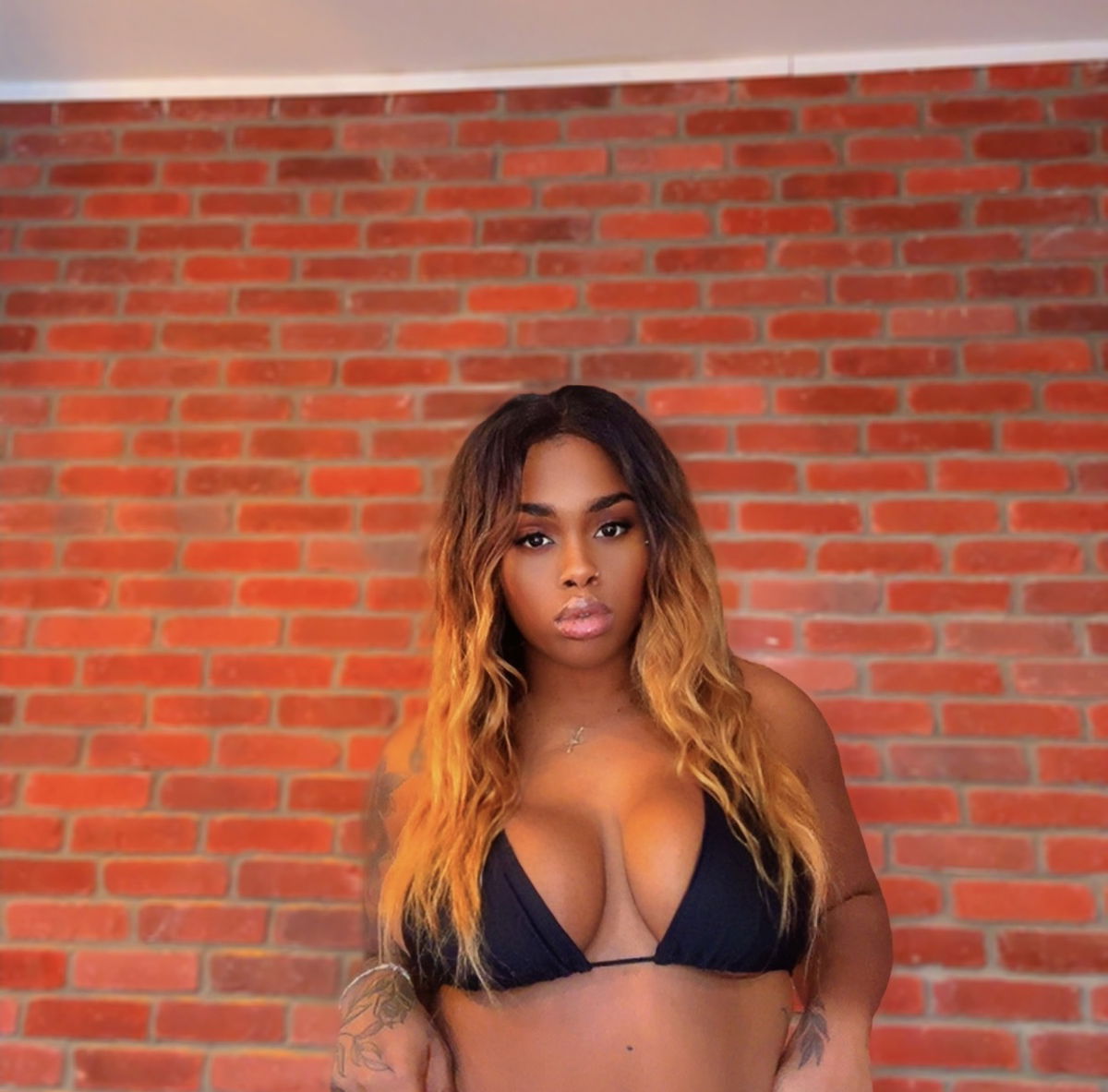 BriellePDS