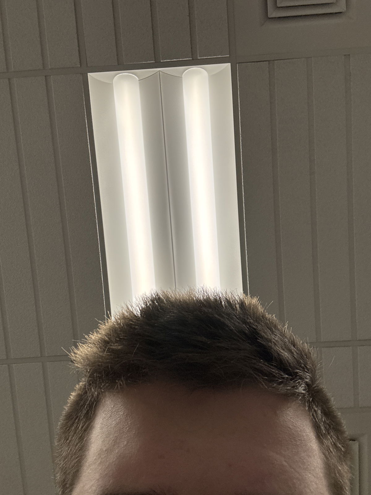 Groscul