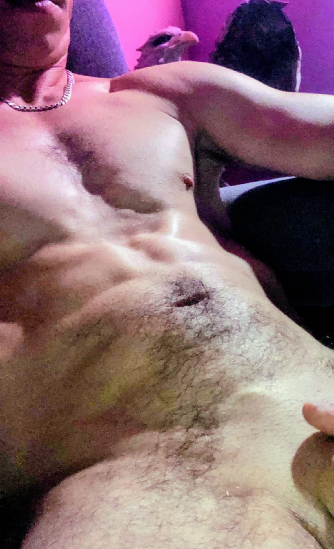 mister_k_qc