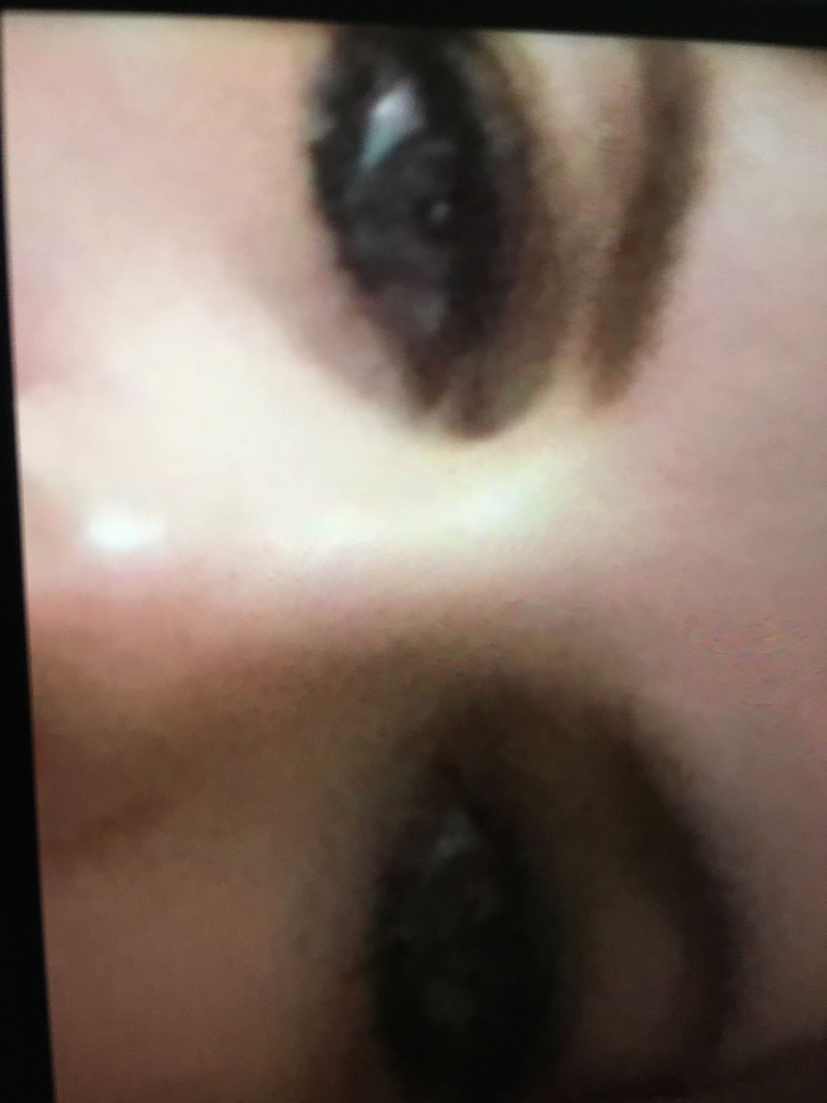 ginacar69