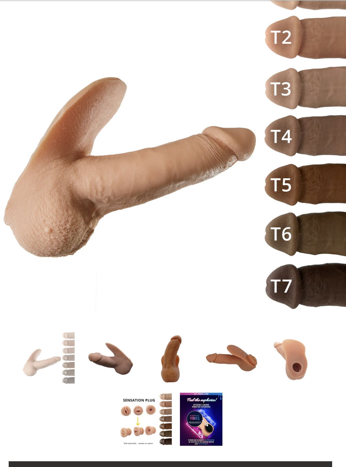 TransFtm