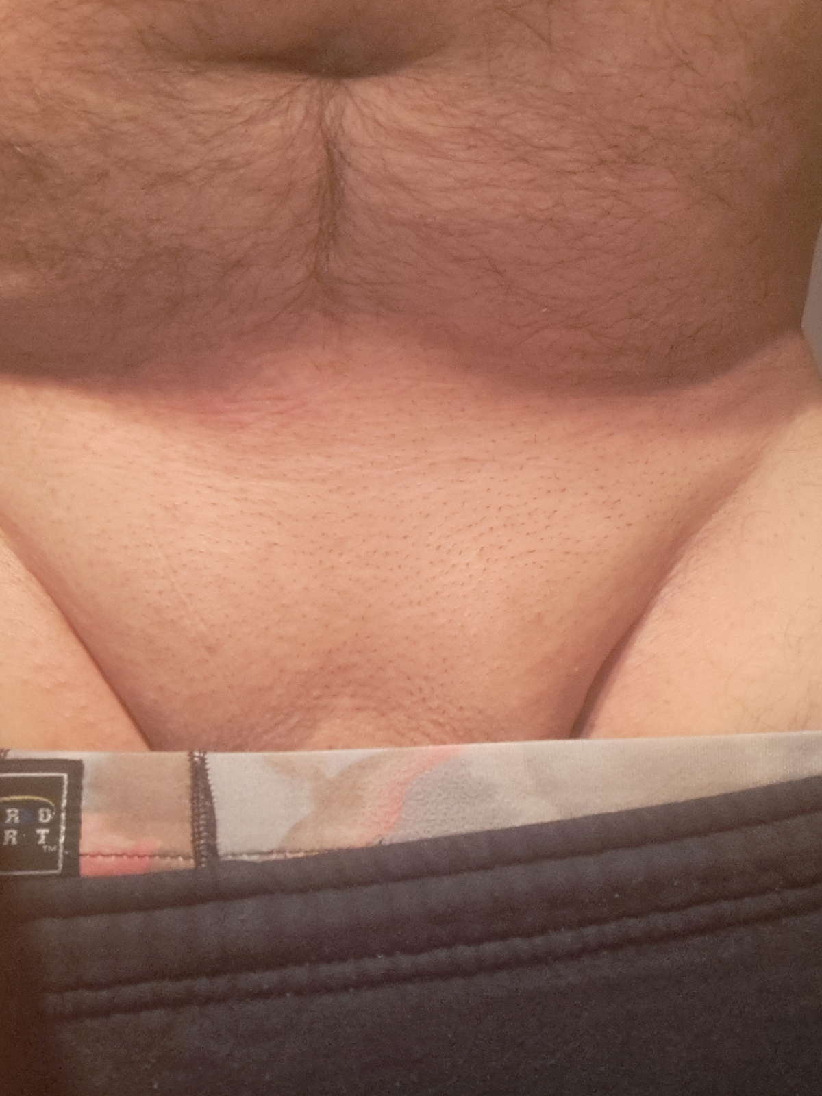 summerfesses79
