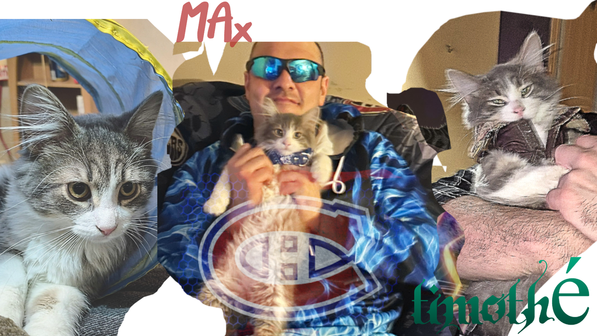 Emixamus42