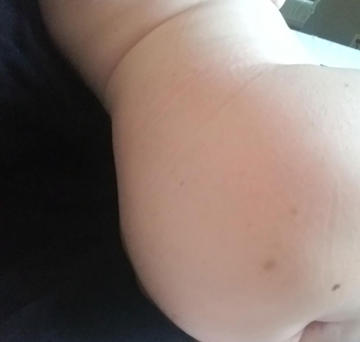 Scarlett_Rose