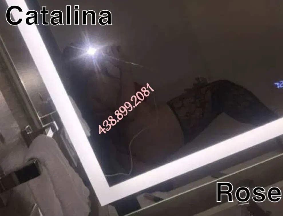 CatalinaRose