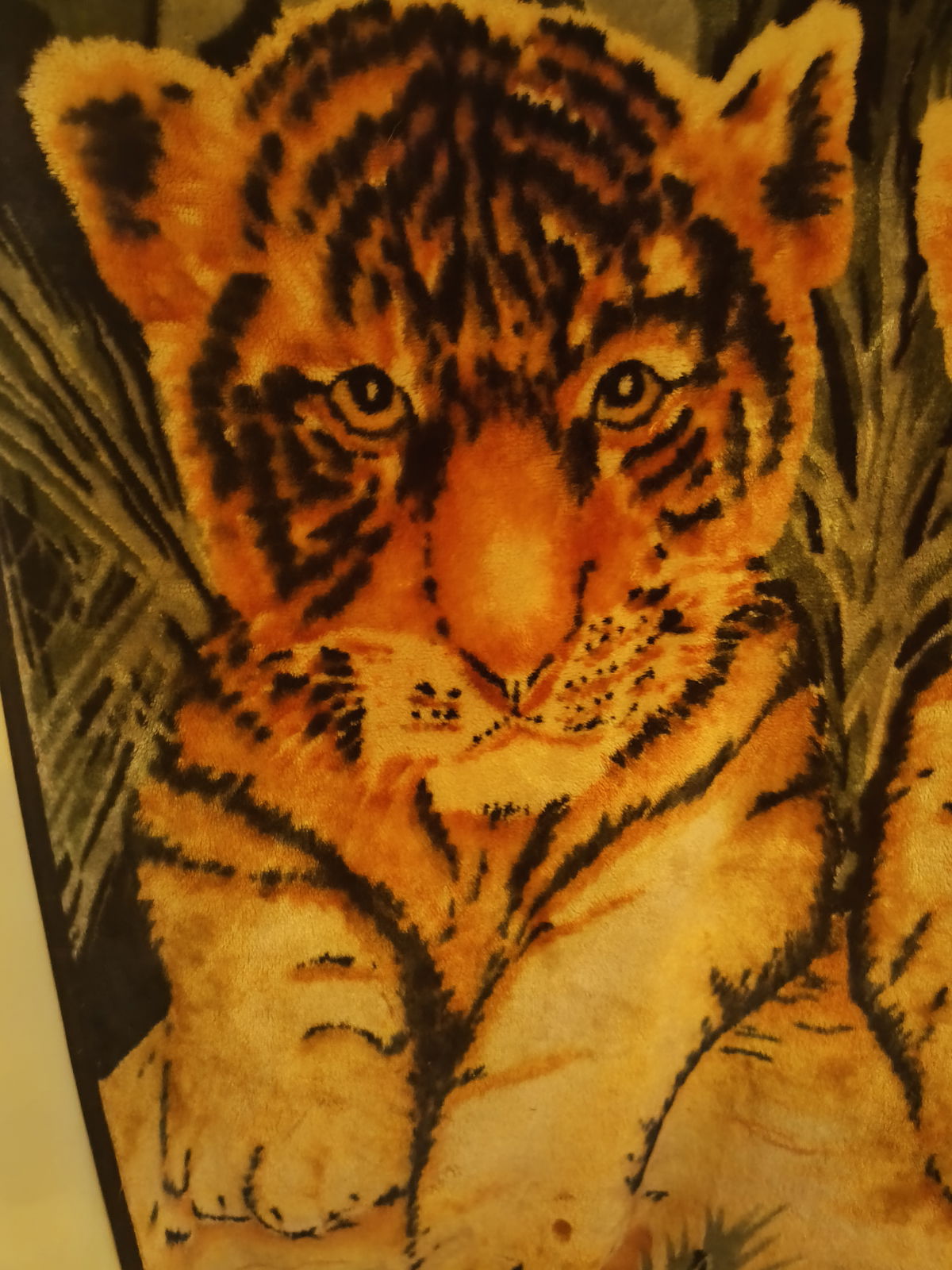 allexandretigers