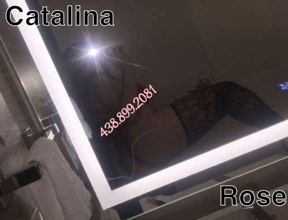 CatalinaRose