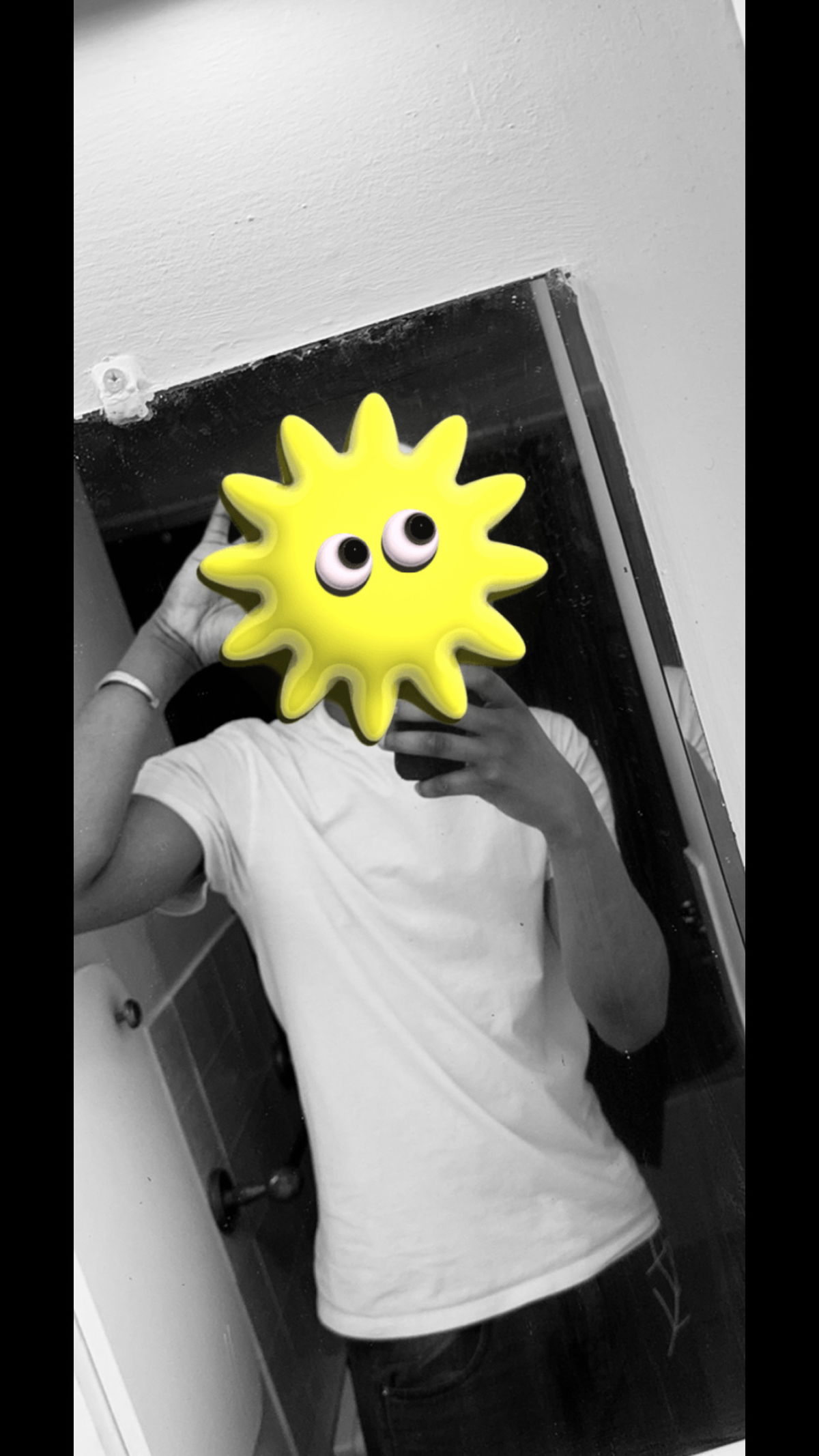 Bradim