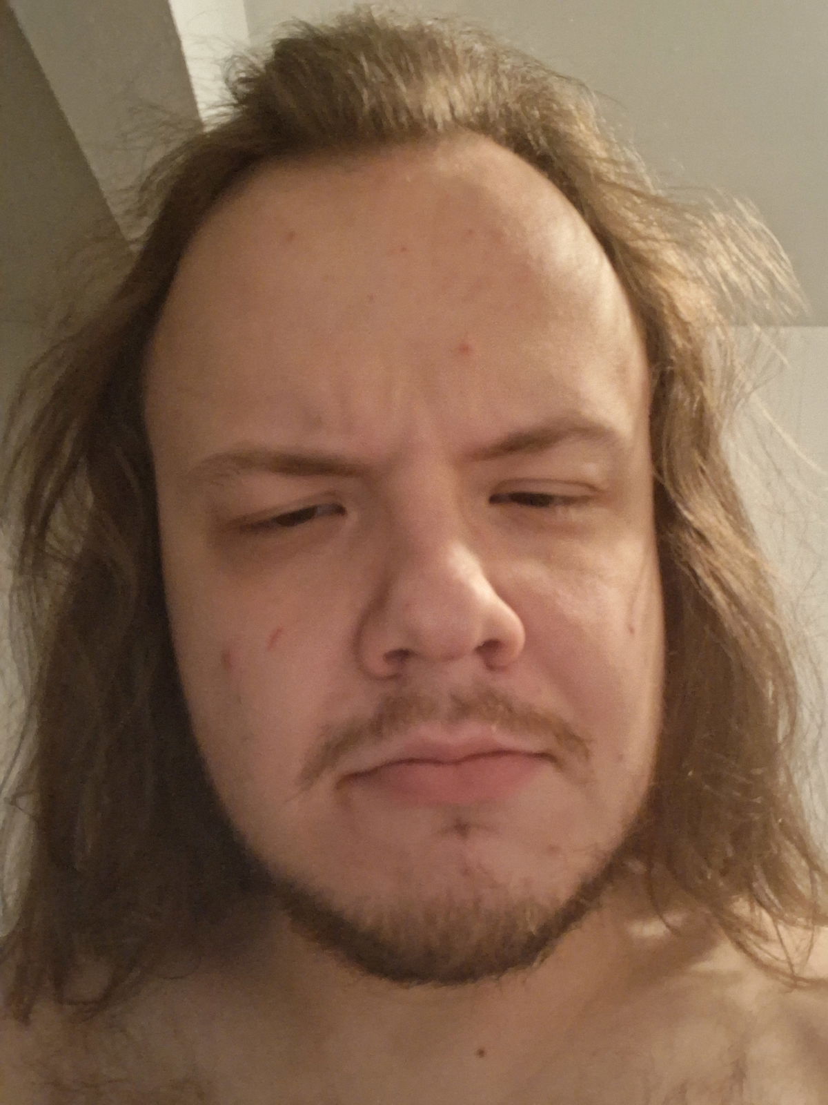 Davelovxmales