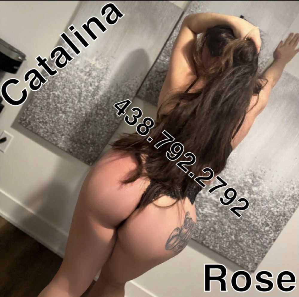 CatalinaRose