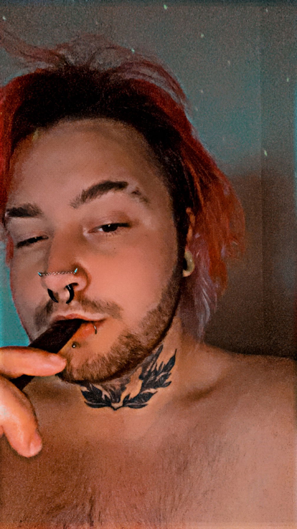 Trans_Softboy