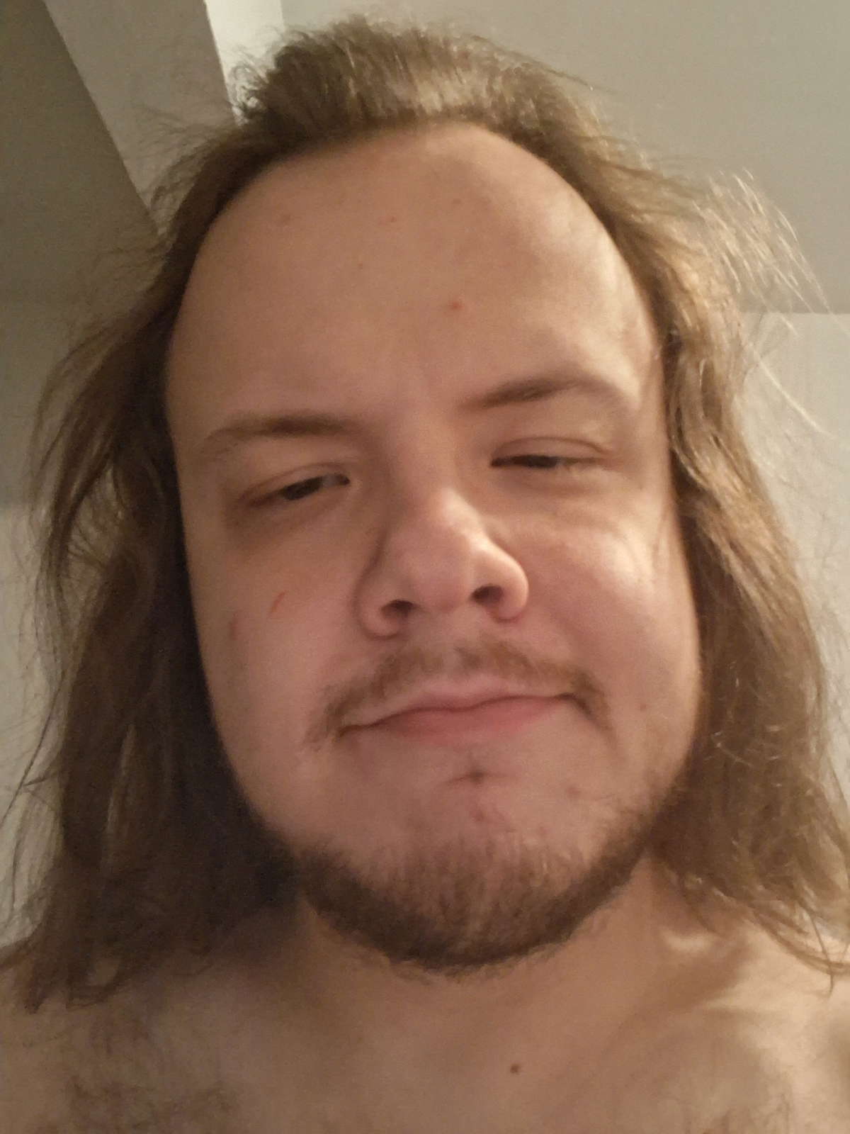Davelovxmales
