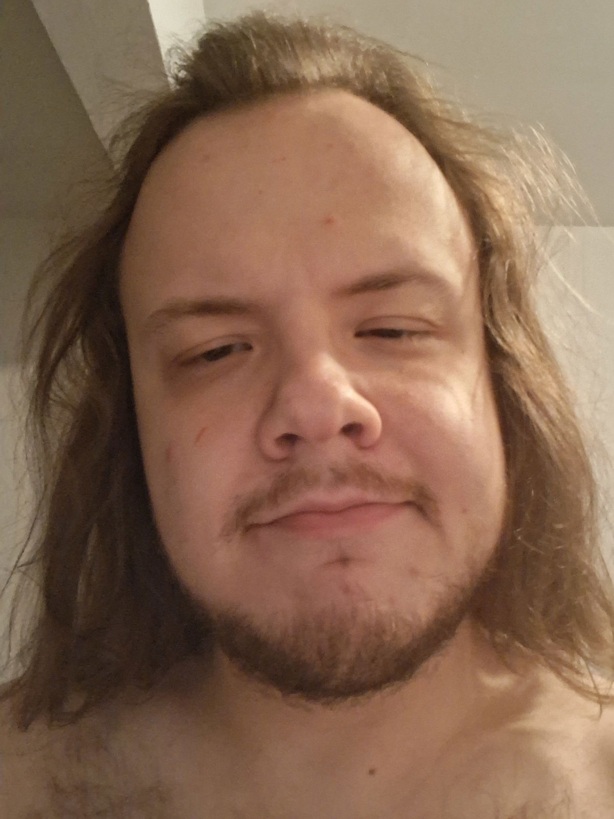 Davelovxmales