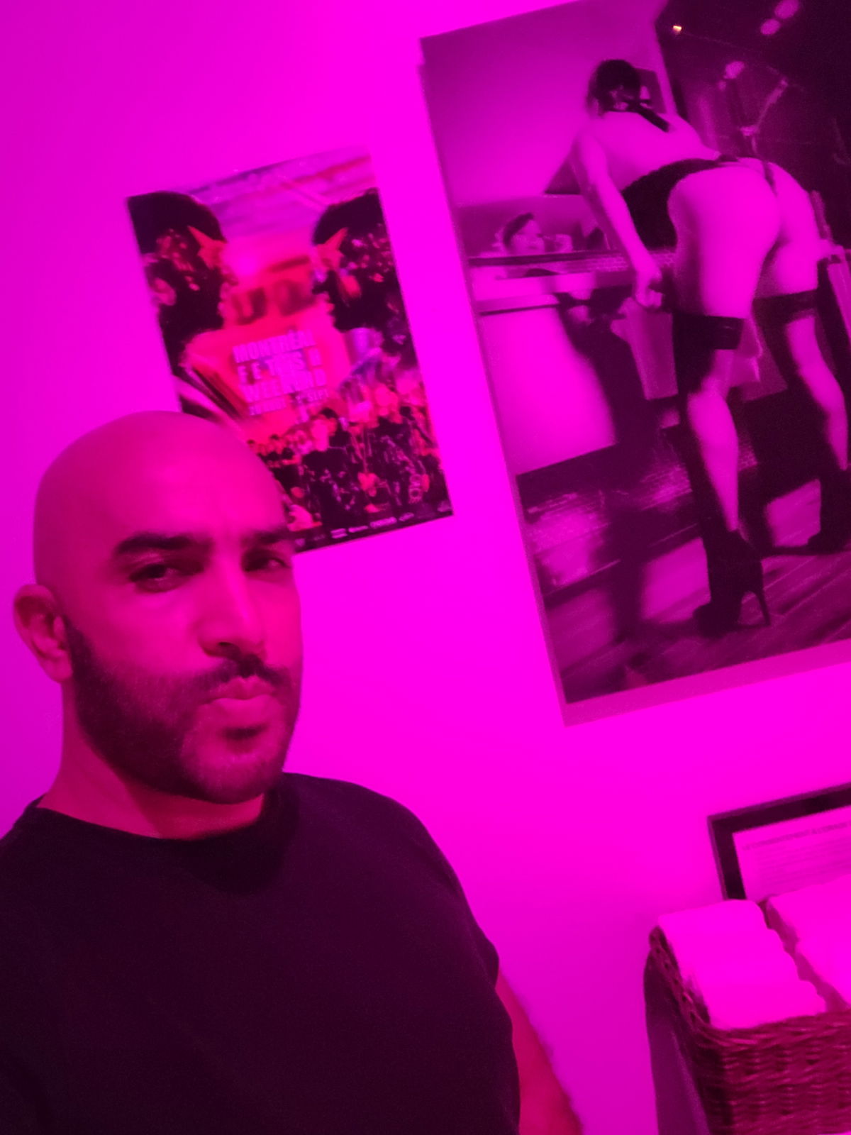 TigreNoir