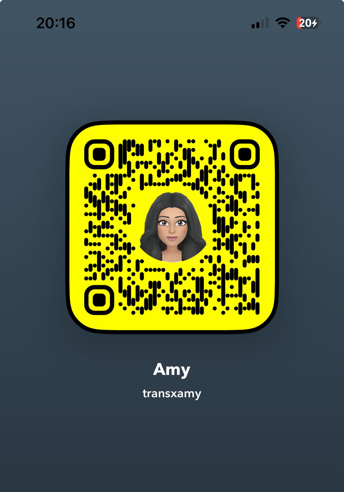TRANSXAMY
